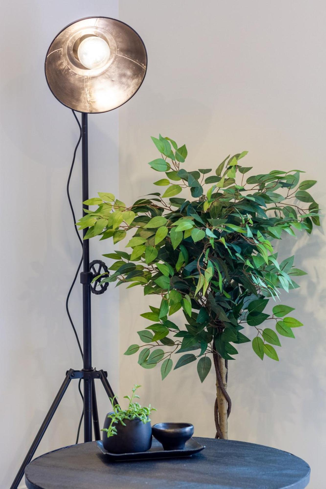 Merivale Gem: 2Br Townhouse Oasis Christchurch Esterno foto